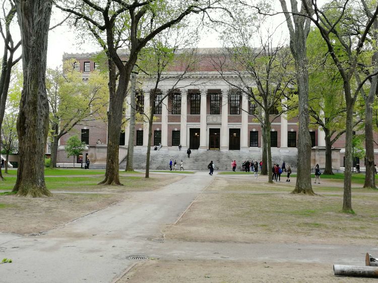 哈佛大学一年学费,哈佛大学凌晨四点半的图书馆