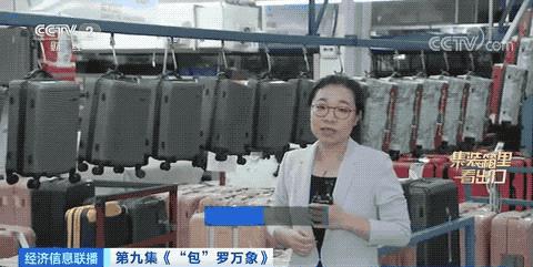 箱包的市场趋势,箱包国际市场行情