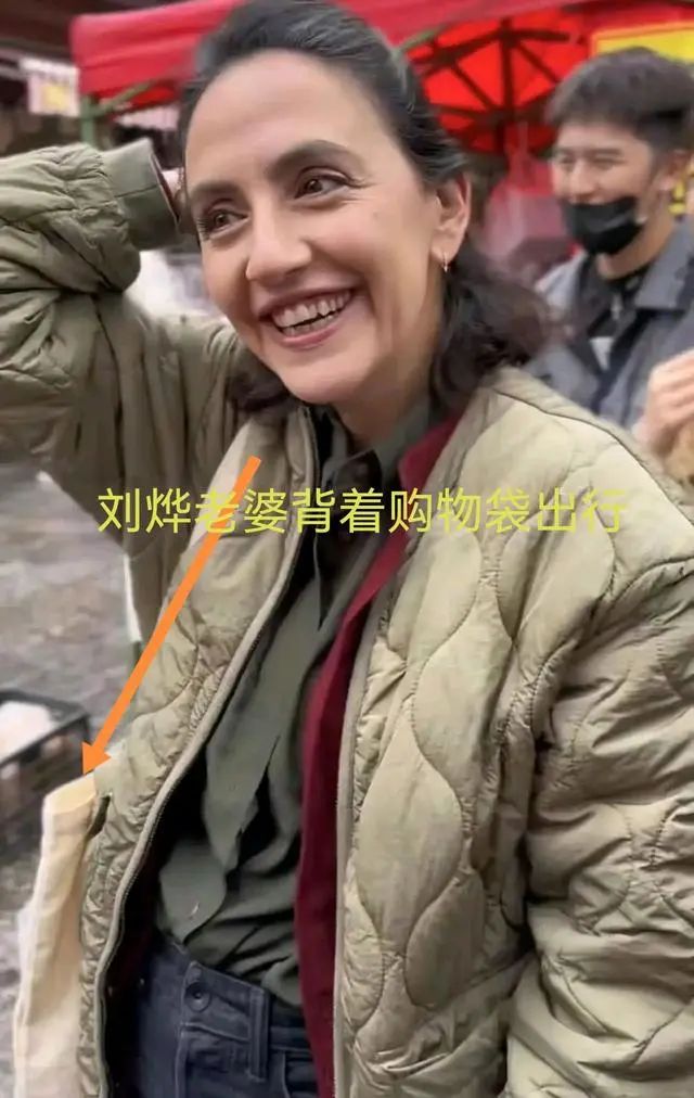 刘烨老婆现状如何,刘烨老婆安娜的经历