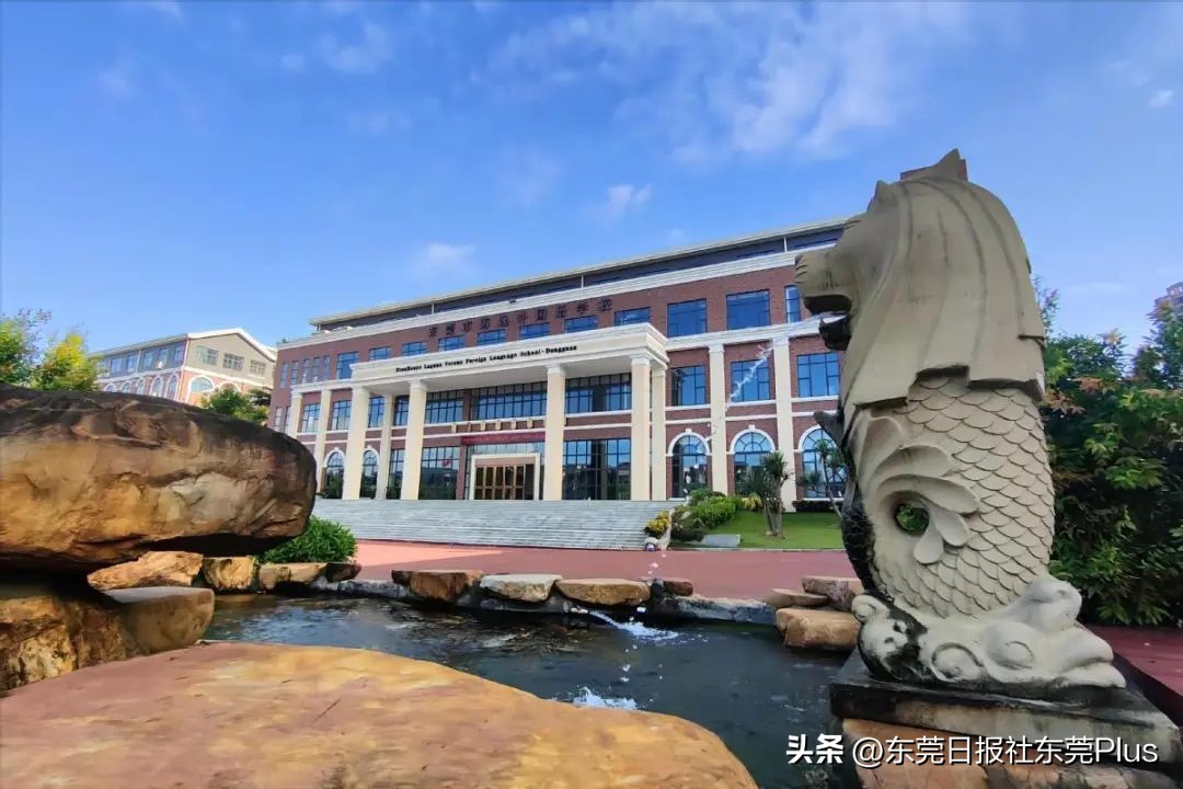 东莞官宣,东莞最新公办学校