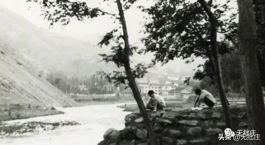 镇安特产视频大全,镇安有啥特产