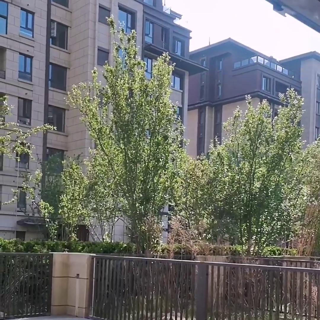 乳胶漆行业前景分析,乳胶漆行业实用干货