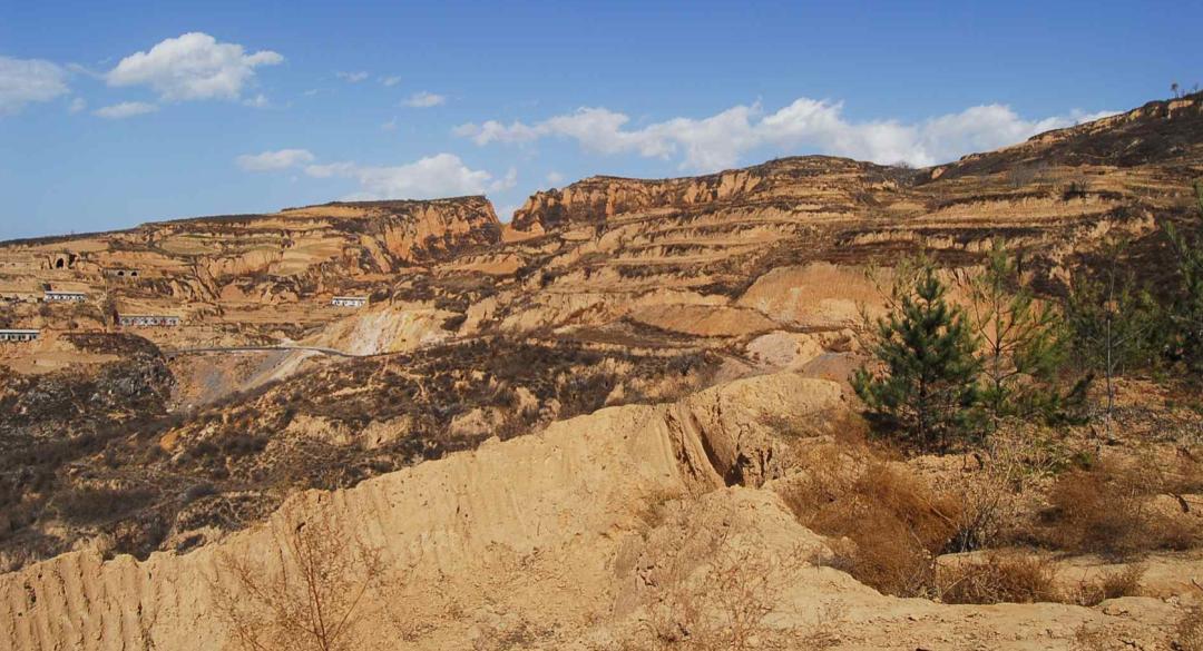 黄土高原是怎么生存的,黄土高原怎么来