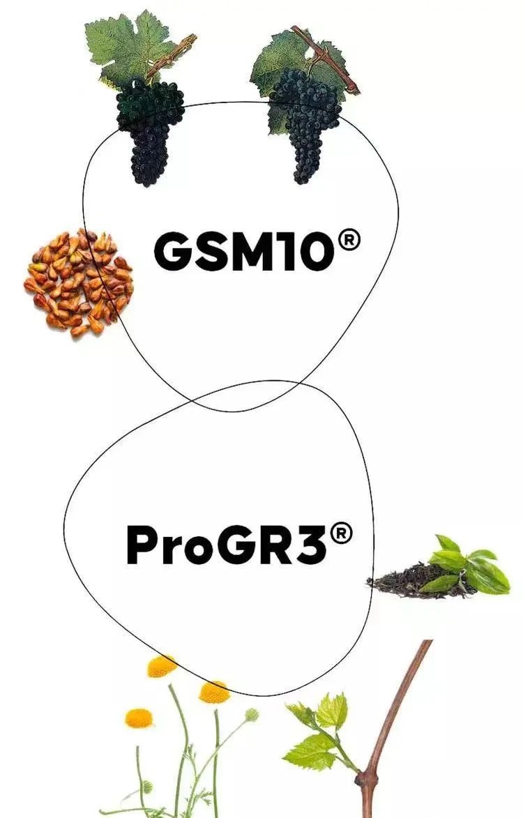 张庭涉嫌传销确定了吗,张庭公司涉嫌传销被查是真的吗