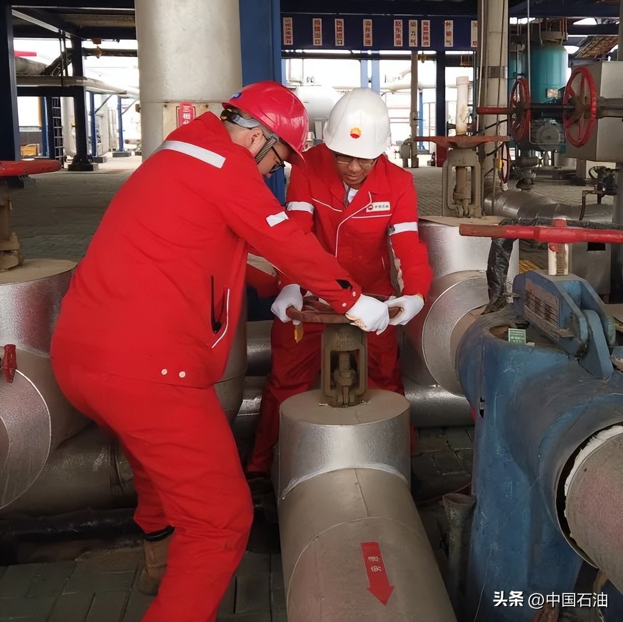 特别策划案例,特别策划系列