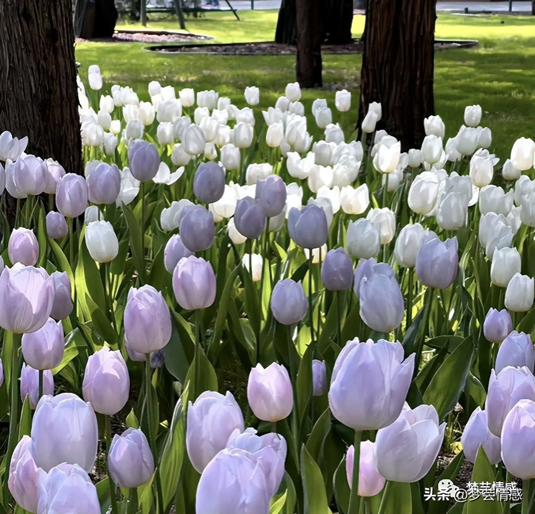 暖心正能量朋友圈高质量句子,适合发朋友圈的高情商暖心文案