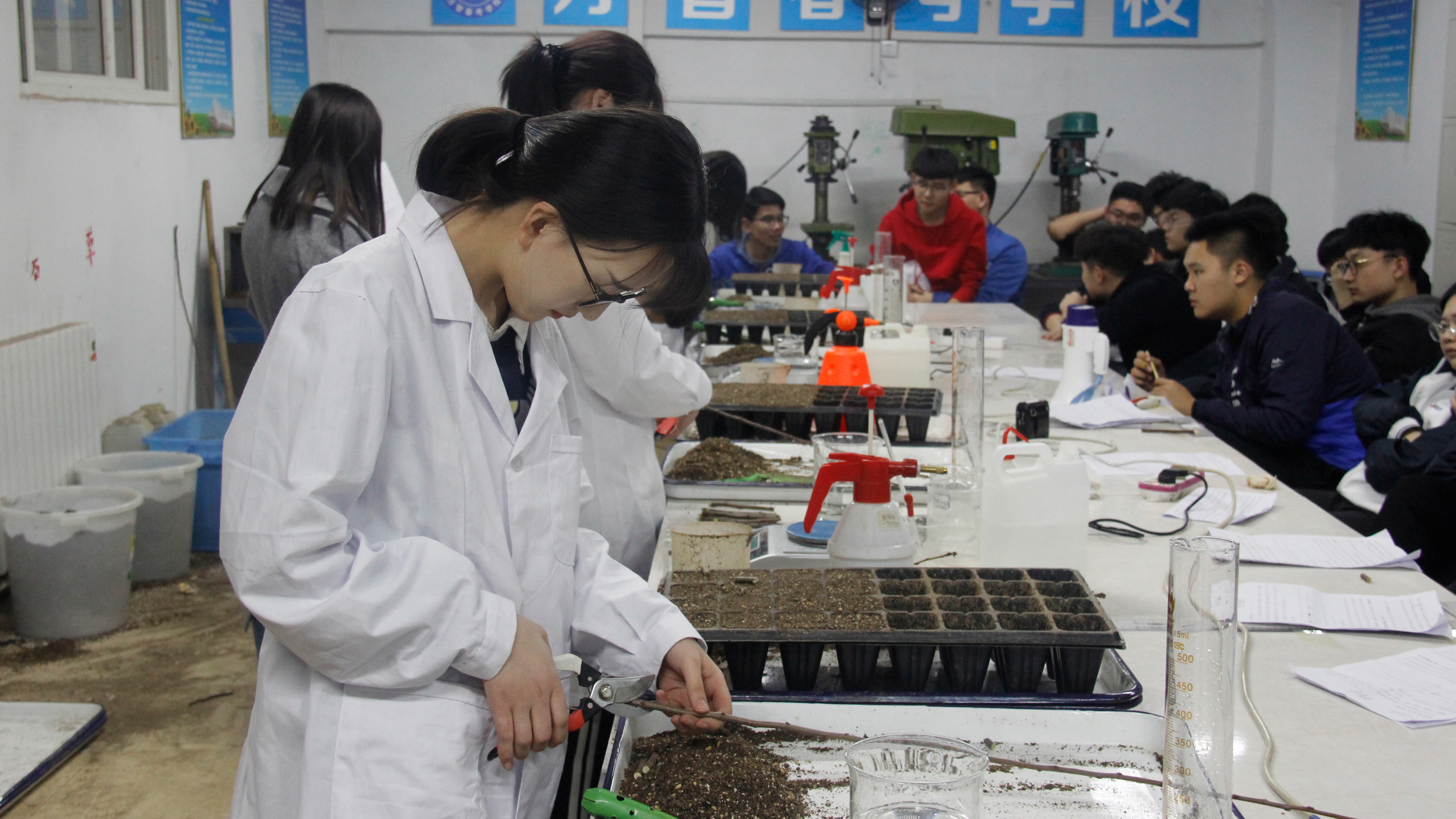 热门专业及就业前景春考,中医专业就业率最高的专业