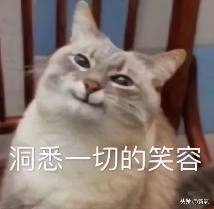 韩国女团服装又惹争议,韩国女团服装都是哪来的