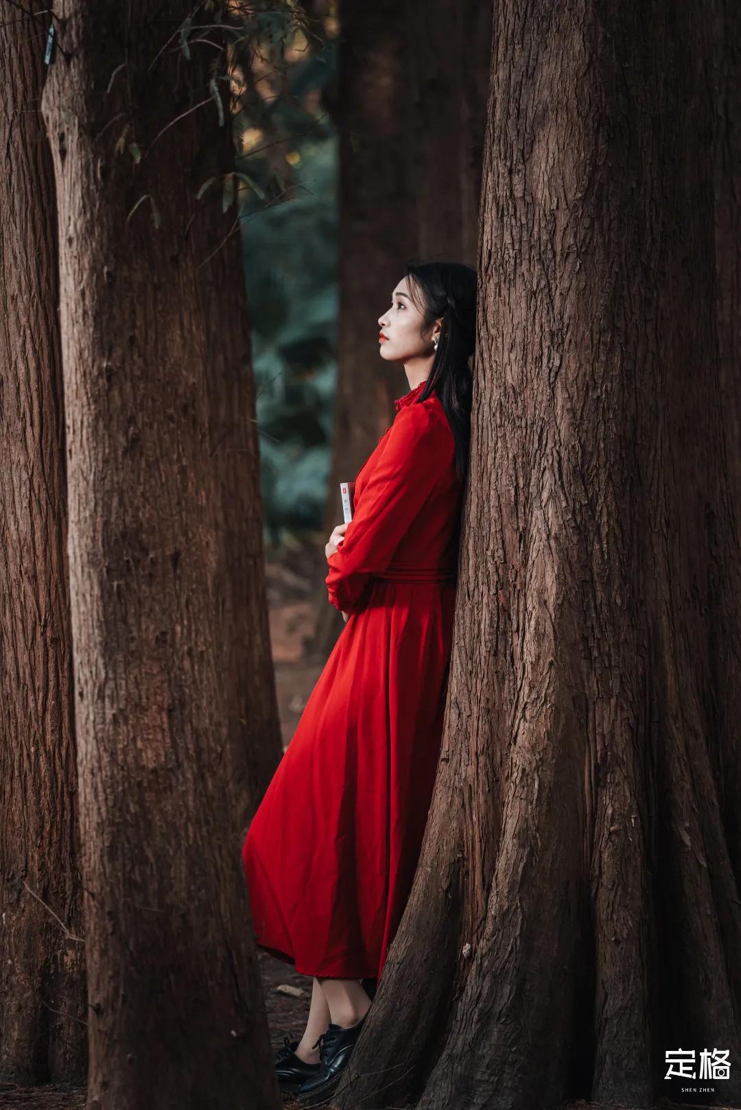 娲箹鍏洯娣卞湷,娲箹鍏洯鑽疯姳