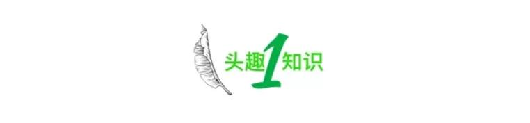 “女子想白嫖二手的LV围巾”冲上热搜，撕开当下社会多少人的贪婪