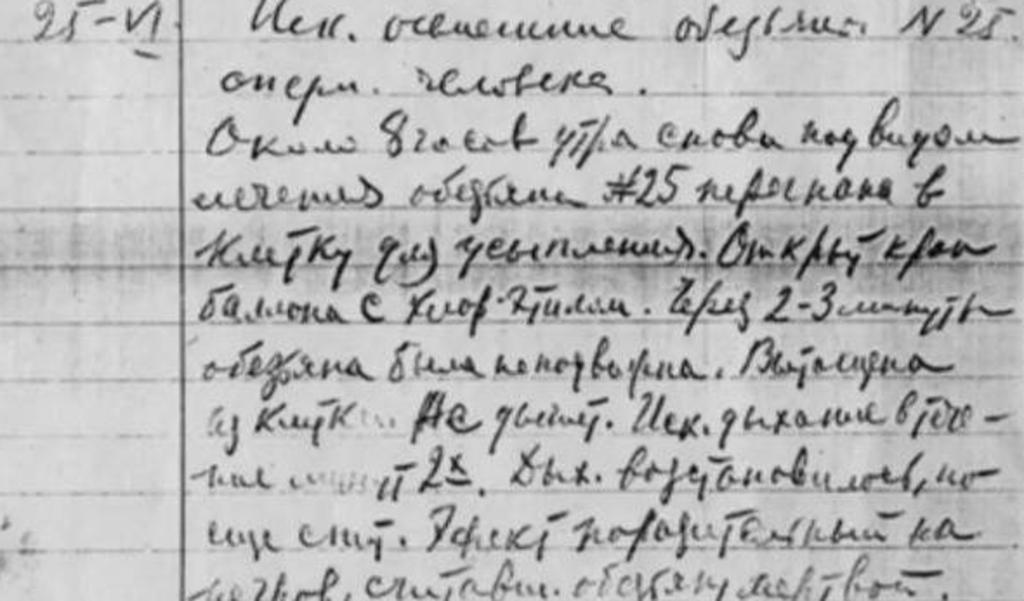 残忍幼猴实验,残忍的幼猴实验被叫停