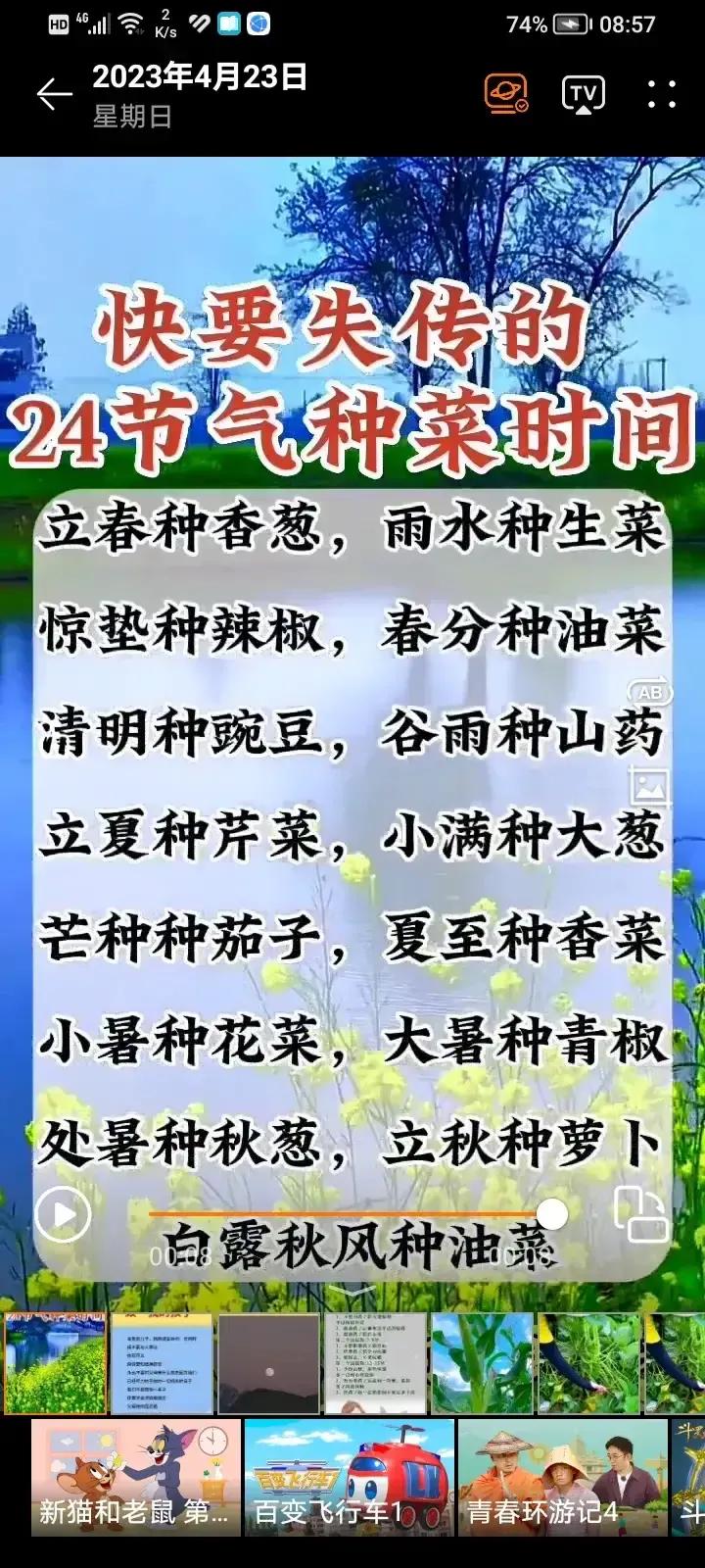 庚子日柱2023年癸卯年运势,癸卯年2023年哪个月出生最好