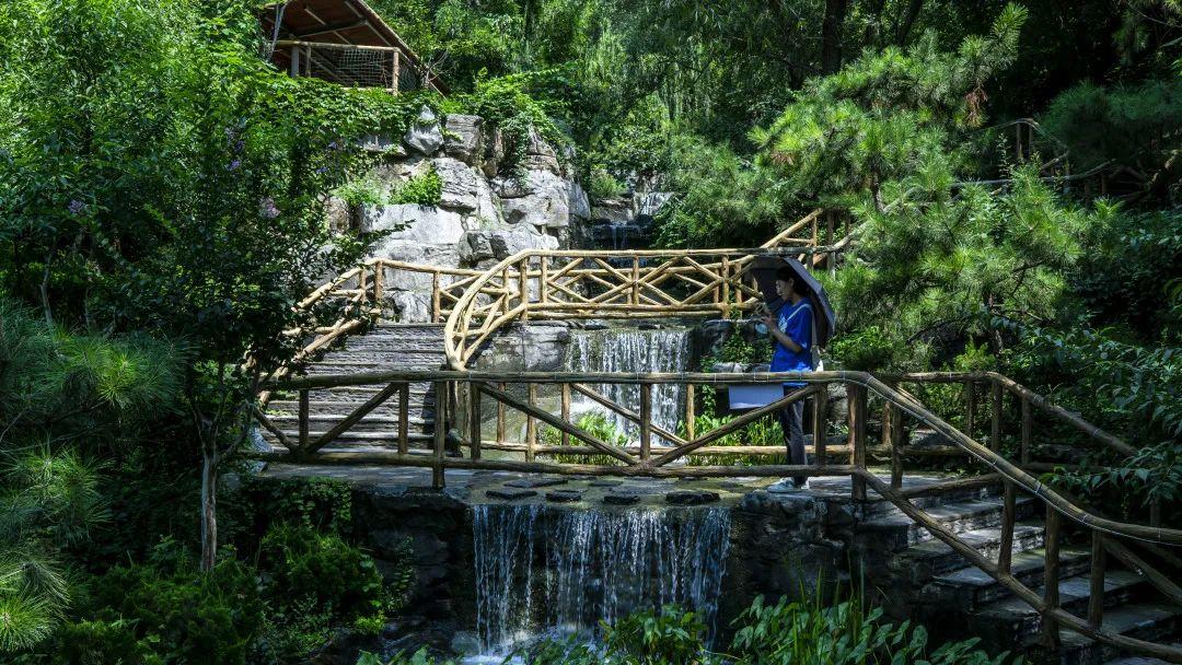 济南近郊旅游专线,济南开通的几条旅游线公交不错