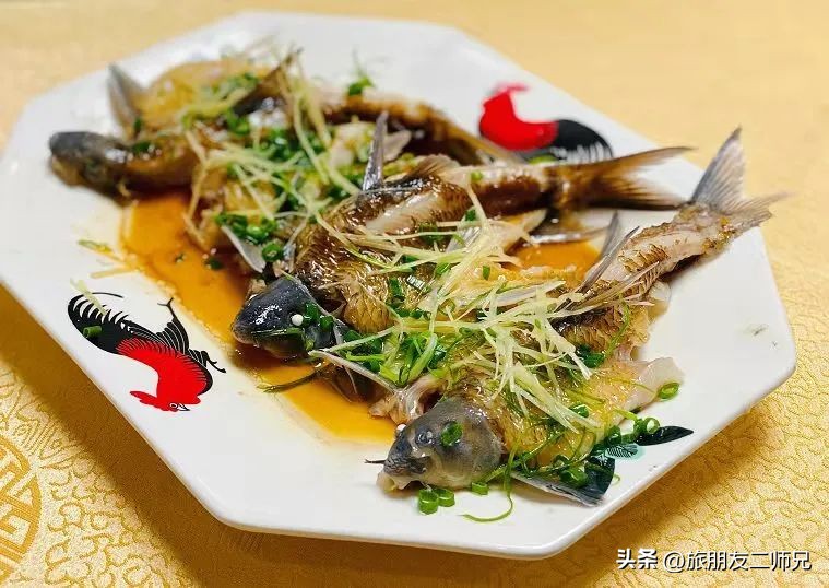 佛山三水白坭附近的旅游景点,佛山三水出发黄姚古镇旅游攻略