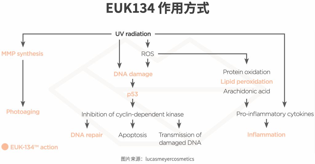 全球最火抗老成分大盘点，全在这里！体验平价抗衰