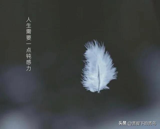 大智若愚大巧若拙是哪个学派的,大智若愚大巧若拙出自哪里