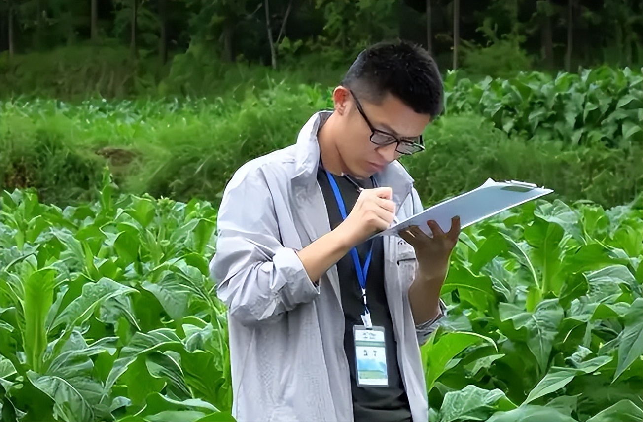 安徽烟草员工晒工资,烟草公司员工晒工资视频