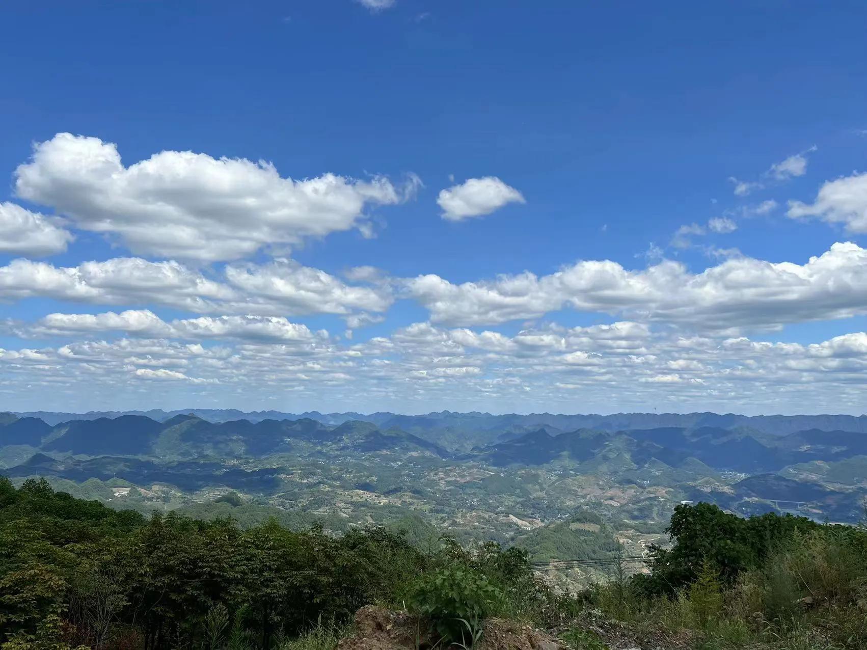 常见胃药有哪些,常见胃药图片