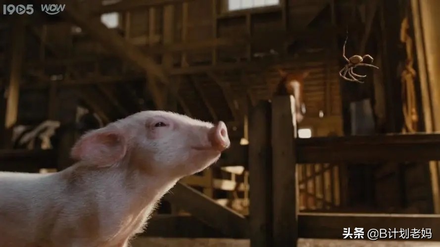 关于动物的英语电影推荐小学生,最好看的英语动物电影