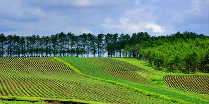 农业生态补偿机制,从生态效益说生态补偿的优缺点