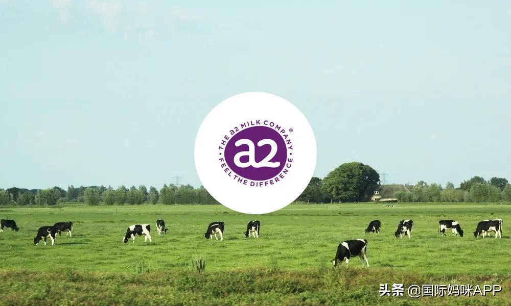 最受宝妈推荐的奶粉,初生婴儿的奶粉品牌推荐有哪些