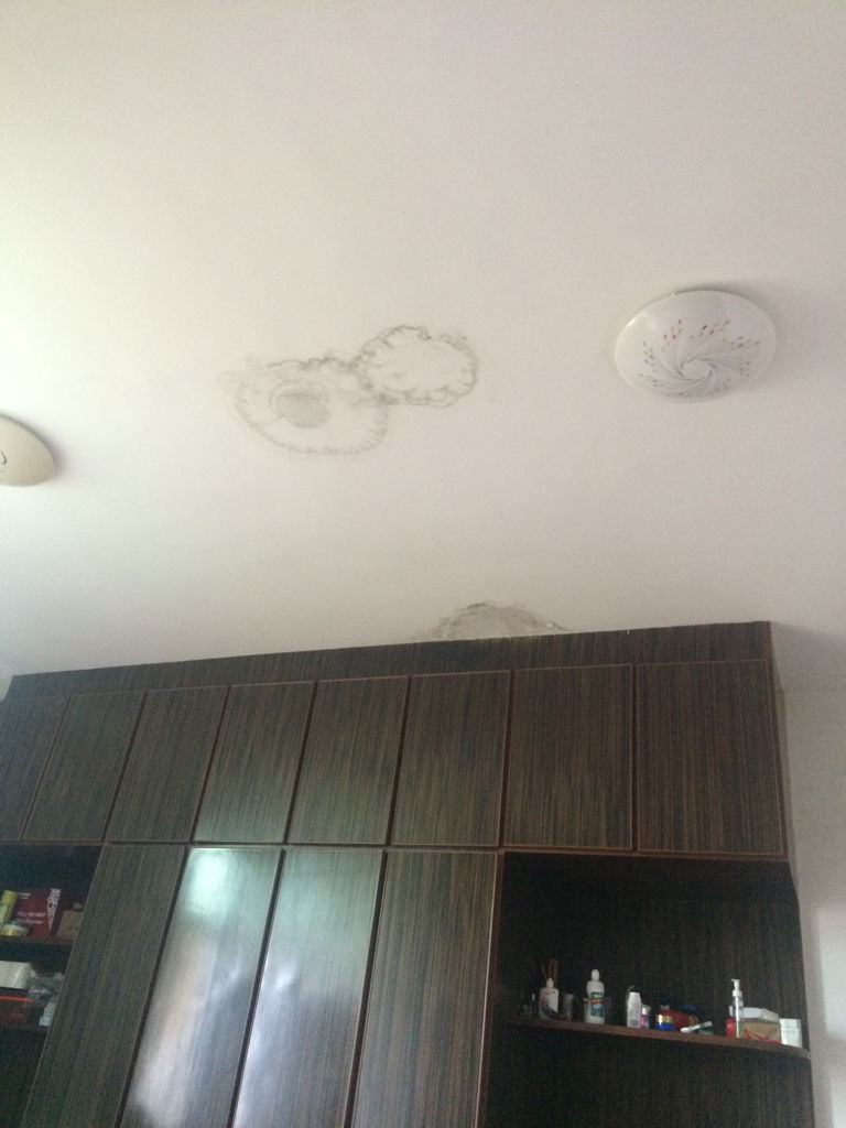 老房子屋顶漏水找谁维修,屋顶漏水维修费用大概是多少