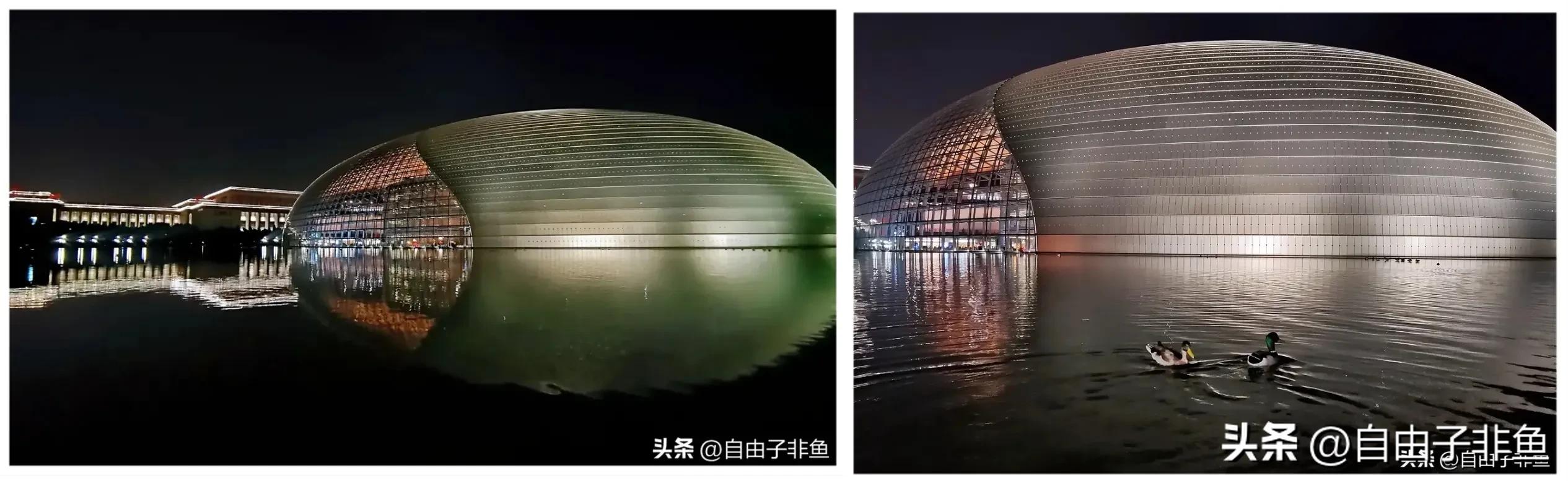 北京植物园跑步路线,北京适合跑步的地方