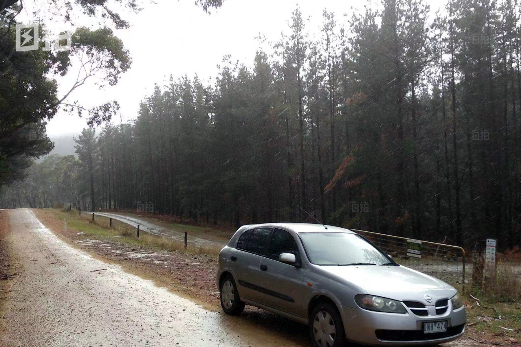 在老家上班像坐牢，我辞职出国打零工、猎狐狸，靠体力活养活自己