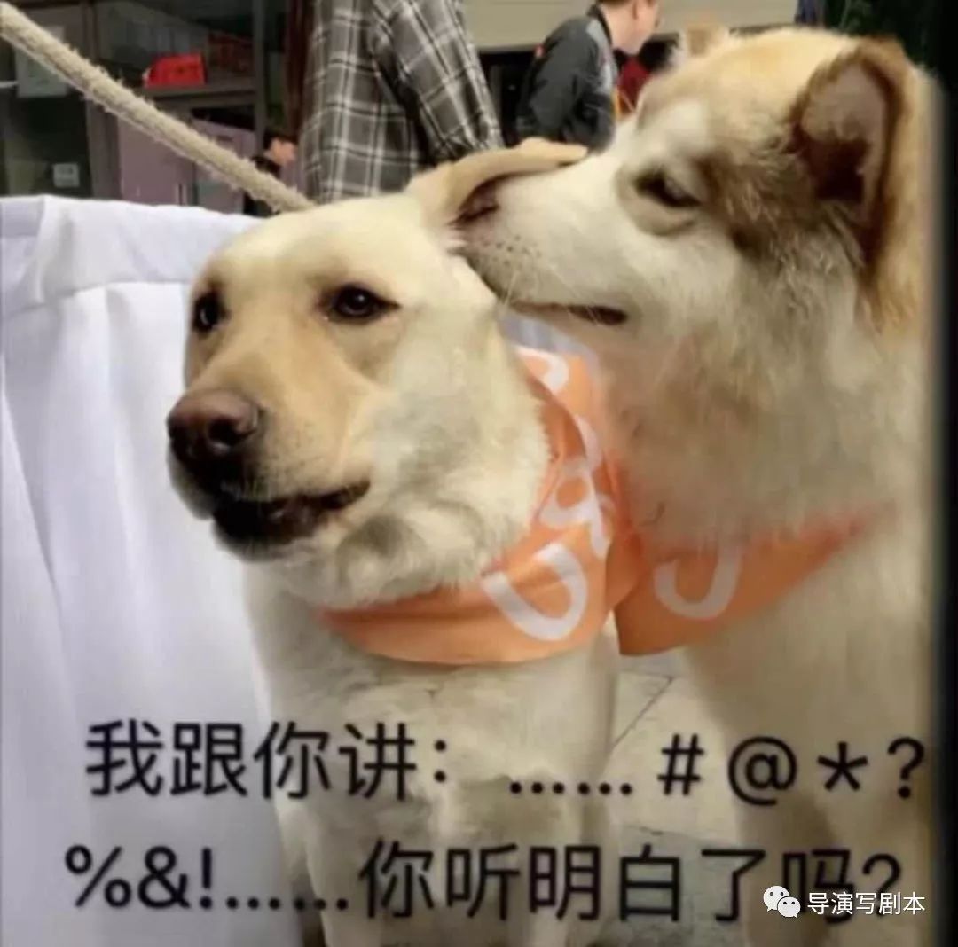 成都小众商业街,成都有哪些鬼市