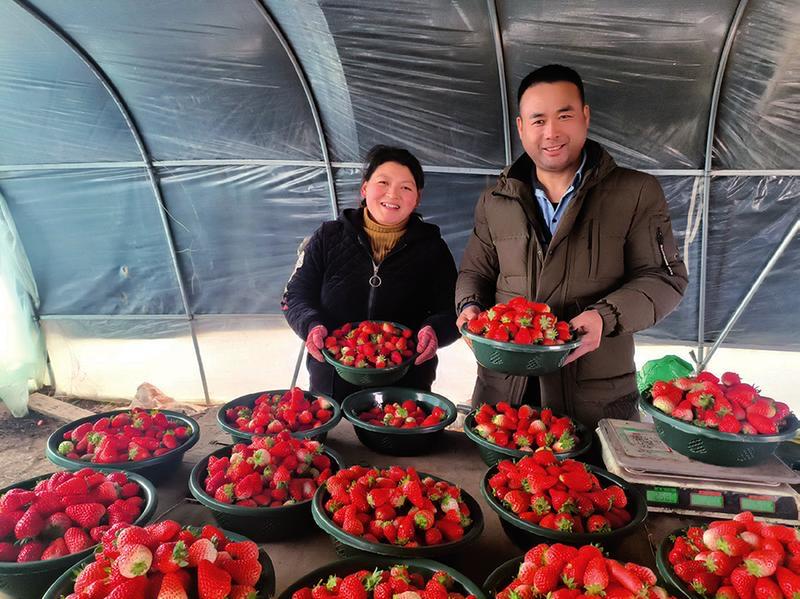 80后夫妻回村创业,80后夫妻返乡创业