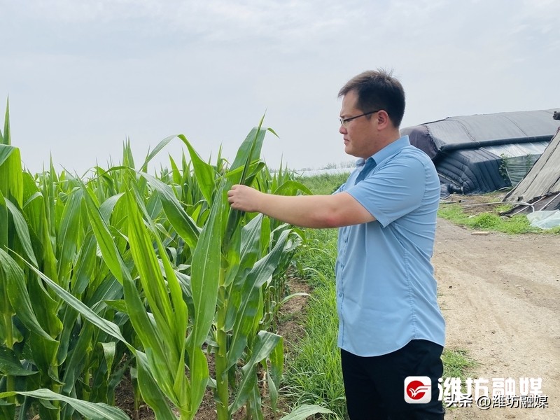 特色种养殖为乡村振兴添动能,实地调研把脉农业产业发展