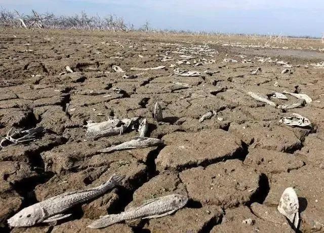 地球上水消失了会怎么样,地球上的水消失了会怎样