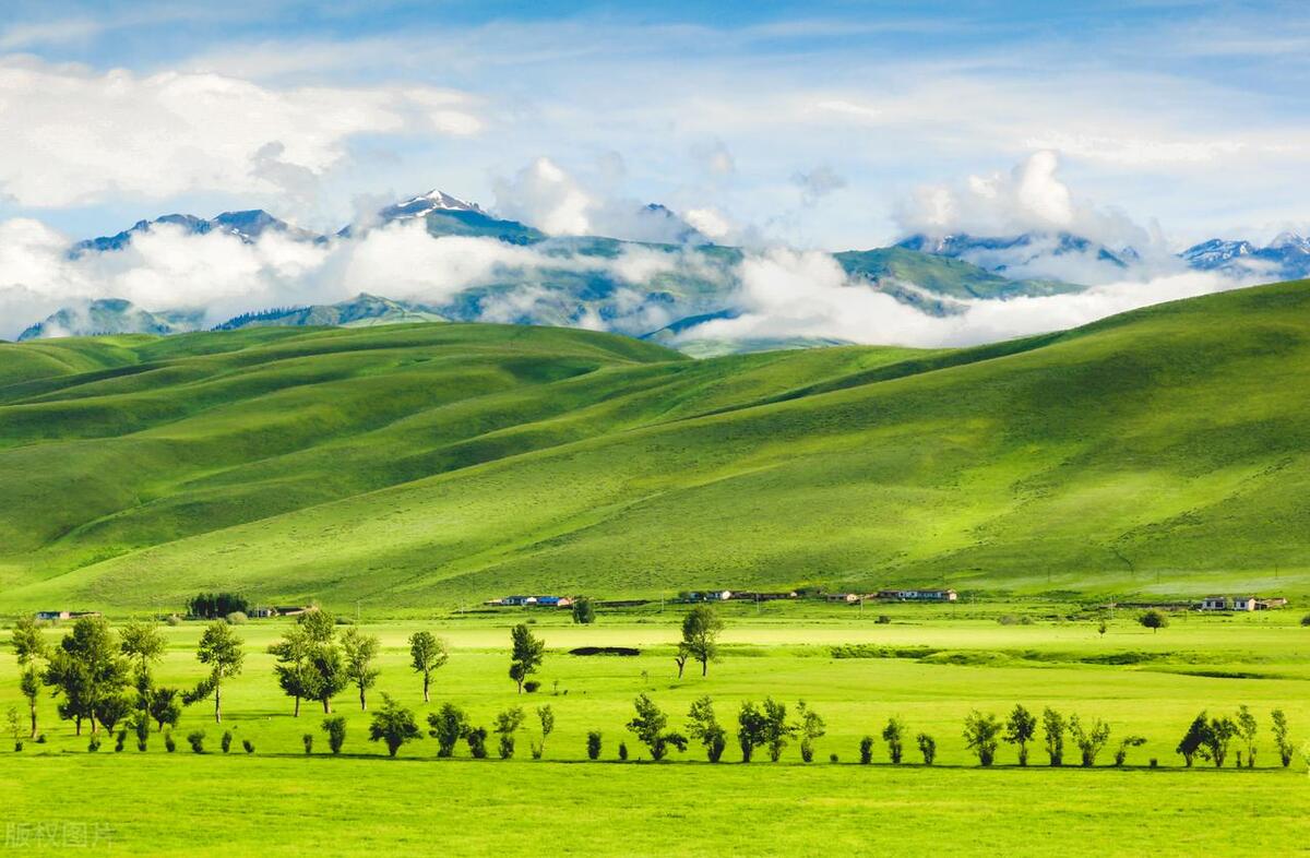 去丹东旅游需要办理边防证吗,新疆旅游边防证应该填写哪些地方