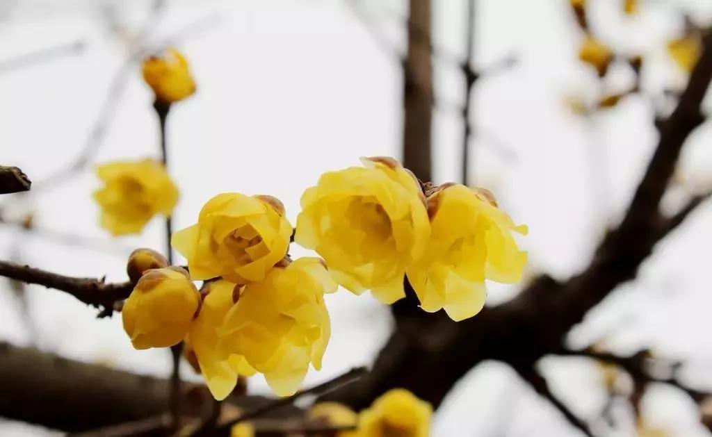 每日一句英语,每日一习