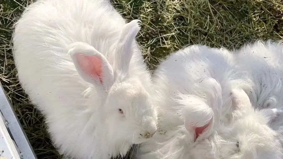 东营秋季旅游攻略,秋天东营旅游攻略必玩的景点