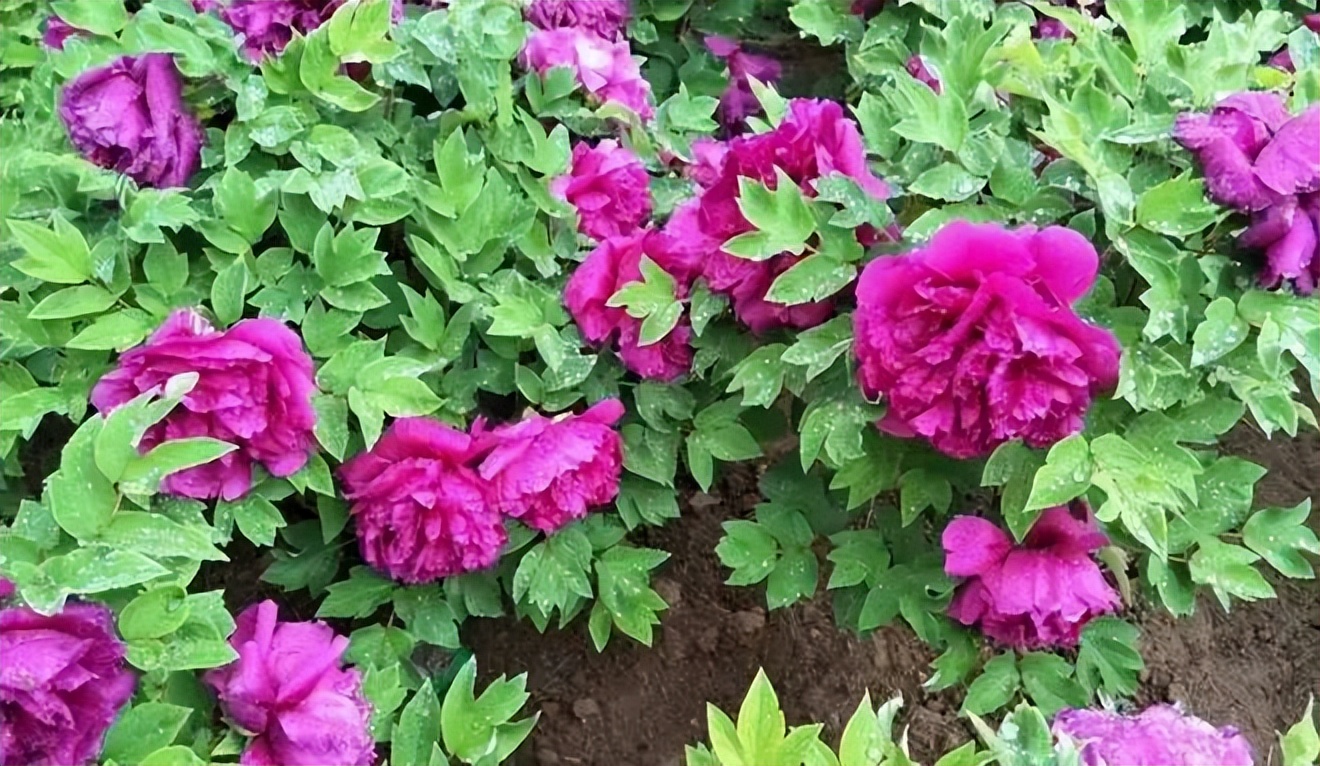 西夏区精品旅游路线,西夏区游玩热门推荐