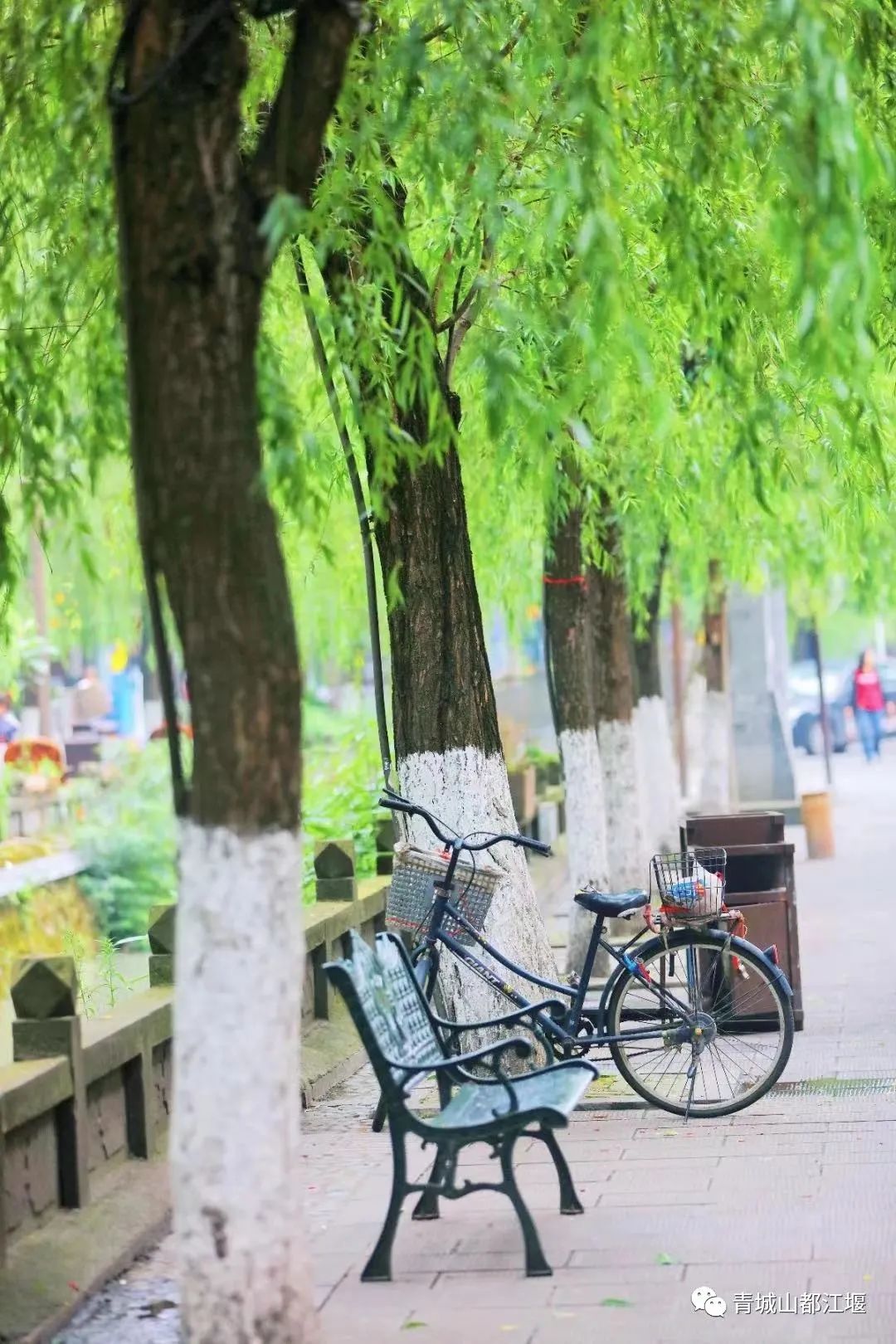 超安逸！水灵妹带你打卡都江堰6条烟火气十足的老街，告别喧嚣和浮躁，邂逅静美冬日~