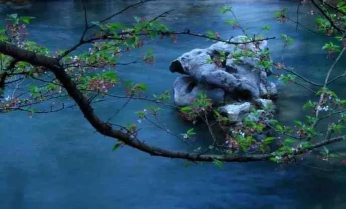 中庸智慧精华解析,中庸之道是先圣先贤的智慧结晶