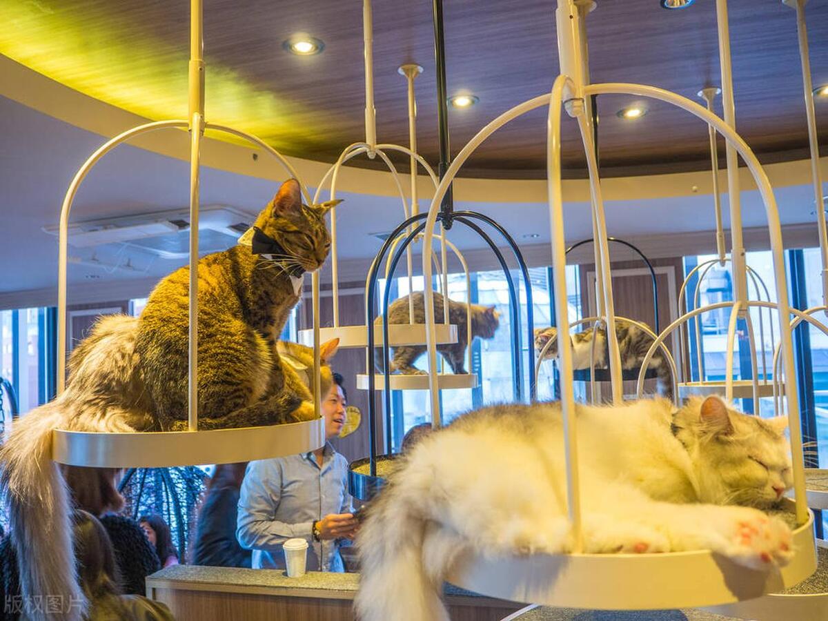 这些小生意的暴利套路你留意过吗,不起眼的小生意到底有多赚钱