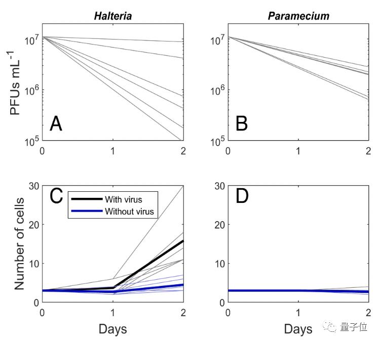 一物降一物疾病的天敌,一物降一物专家