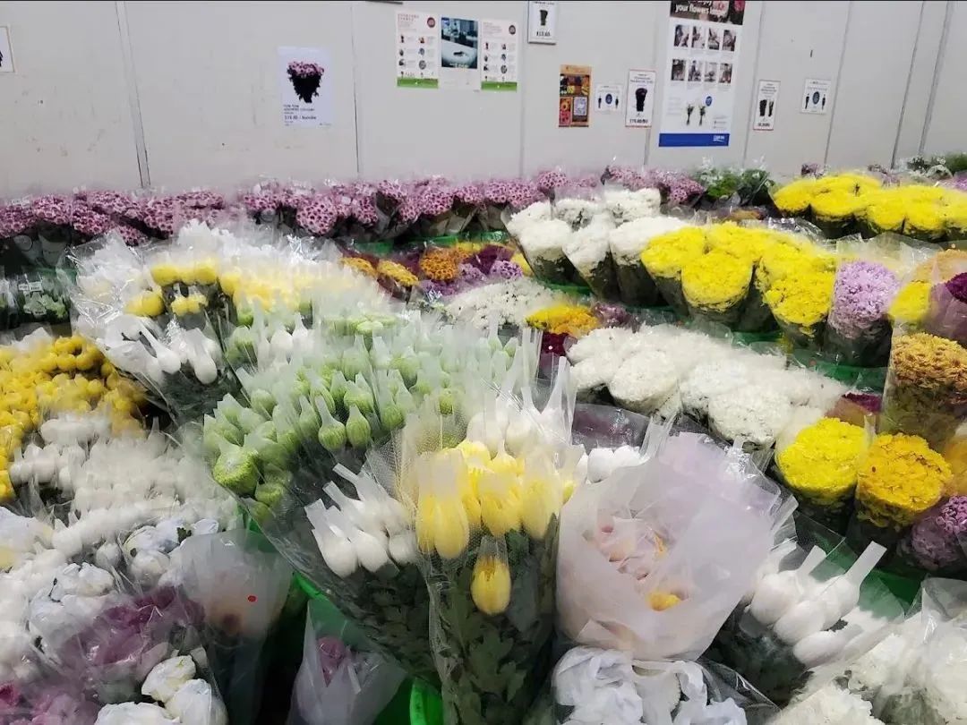 鲜花在水里能养几天会死,新加坡盆栽花卉怎么养