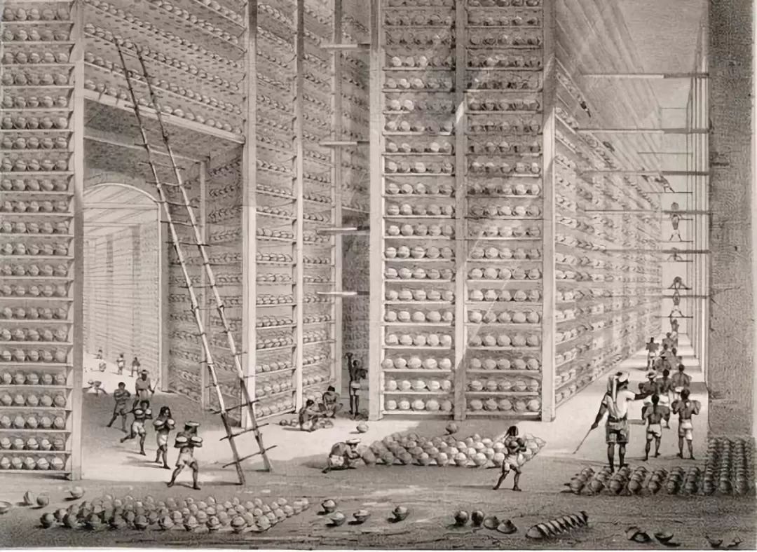 烧了英国人的*片鸦**，清朝错在哪里？伟大的禁烟运动不容置疑