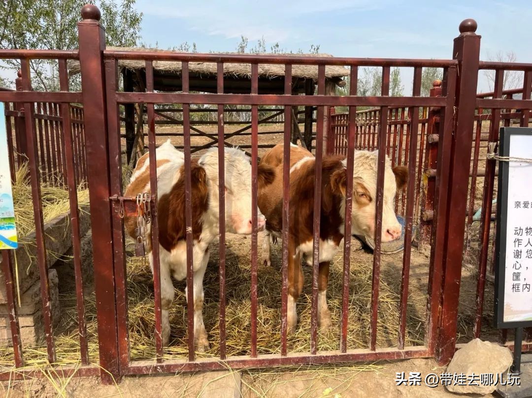 藏在二环的超小众免费公园,免费游玩的小公园