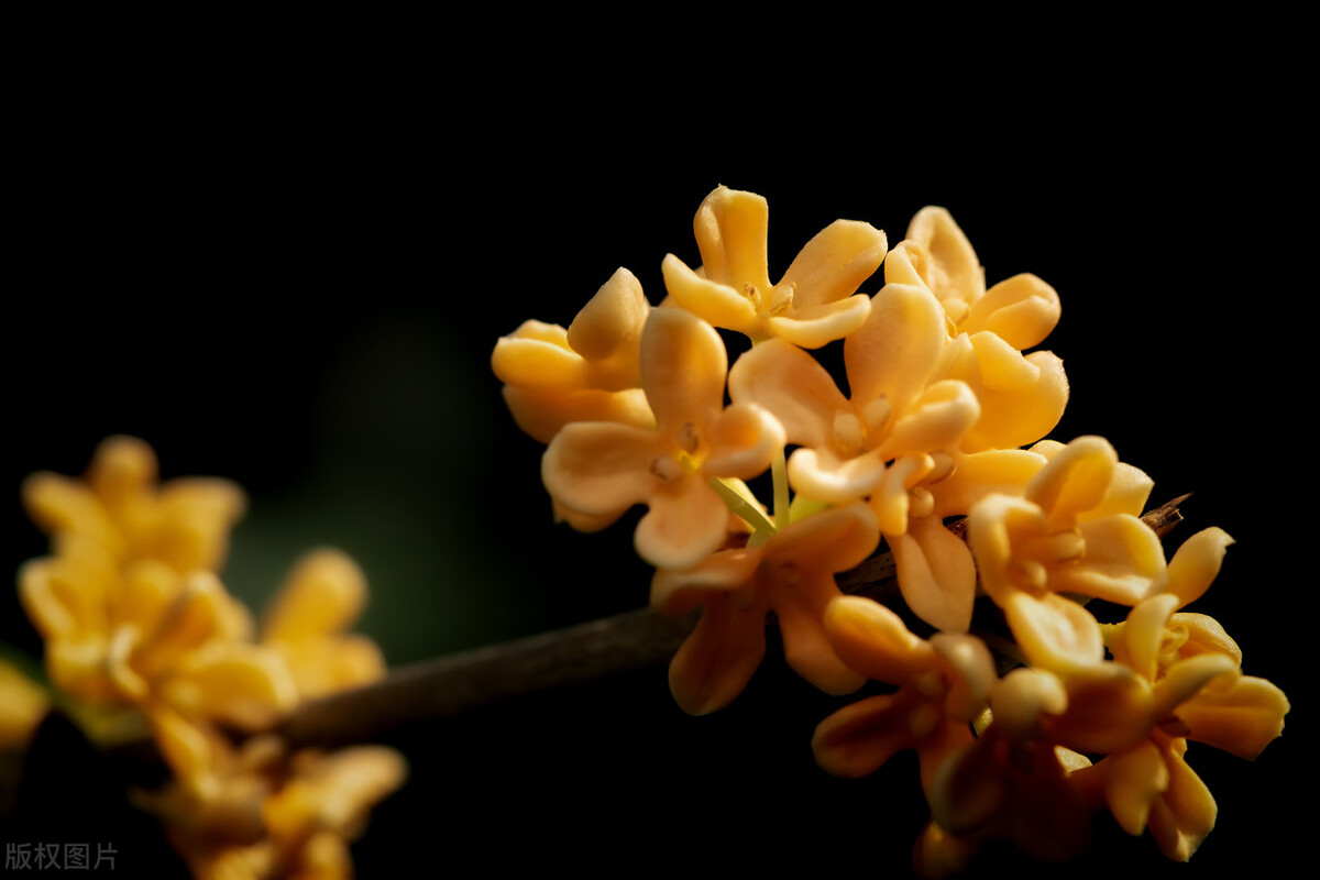 当别人不喜欢你就不要再追了原版,当别人不喜欢你就不要再追了