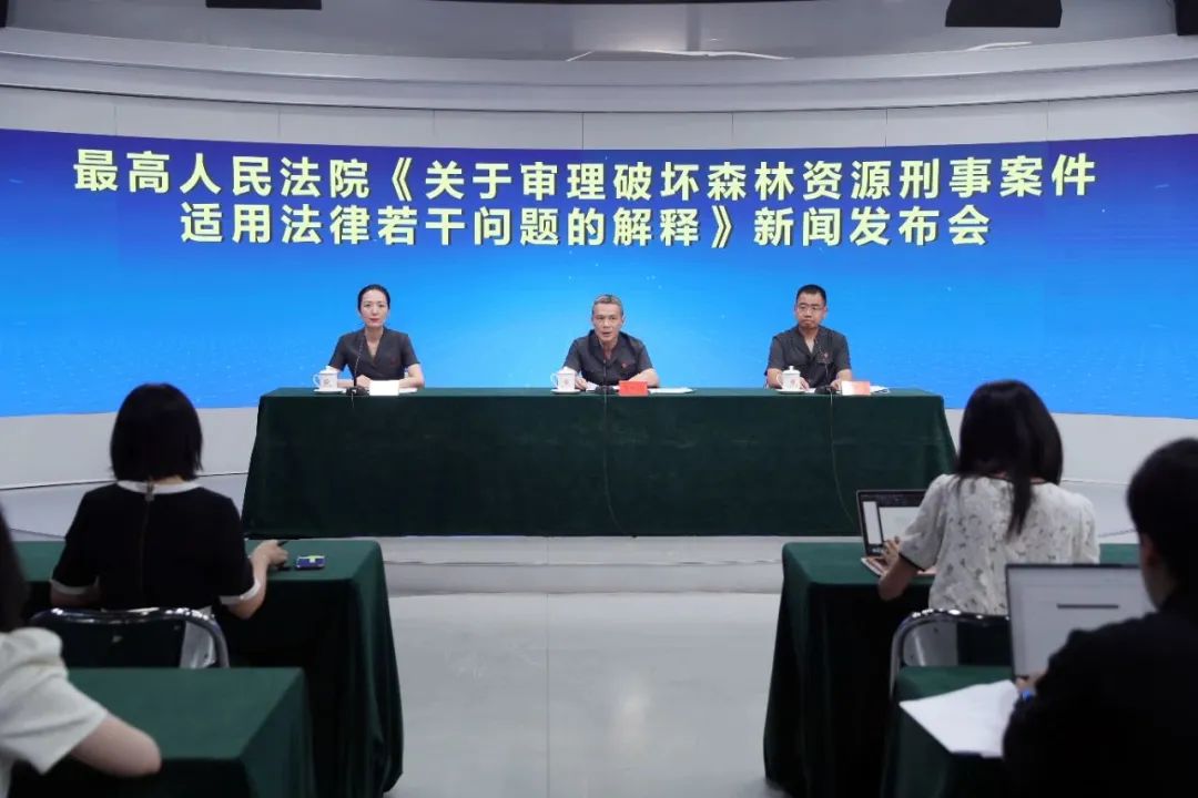办理森林资源刑事案件的司法解释,关于审理破坏森林资源案件