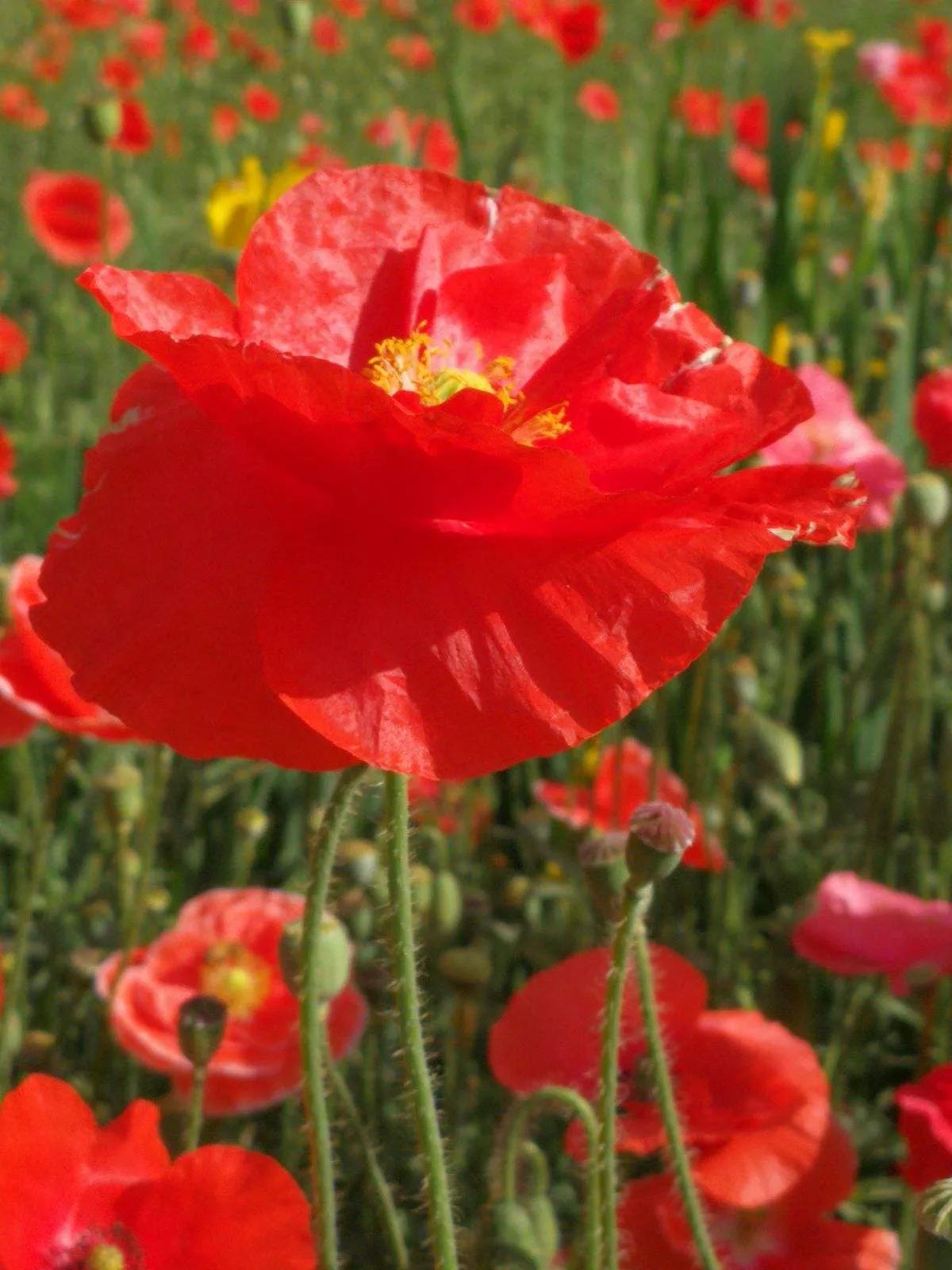 电子厂干了十天临时工，只发了164元，无奈之下我举报到了劳动局