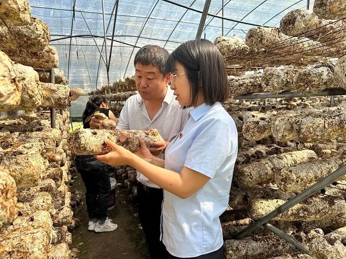 工行金融助力乡村振兴,工行衡水分行金融活水助农增收