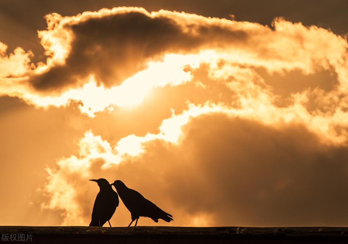 儿媳怀孕了婆婆让吃东西,媳妇怀孕没胃口婆婆变着法送吃的