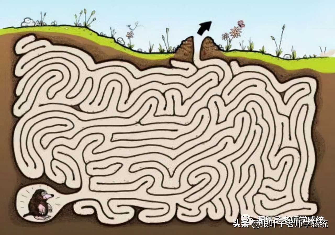 六岁宝宝写反字有什么纠正办法,小孩子为什么老是写镜像字