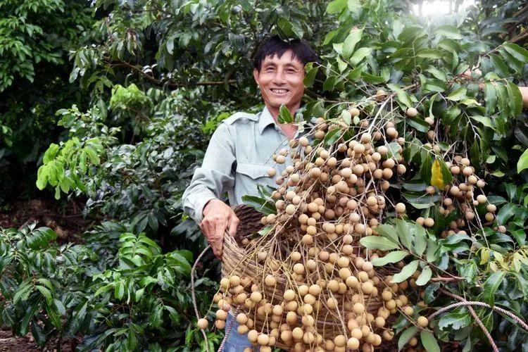 海口琼山区什么时候崛起,琼山区是海口的主城区吗